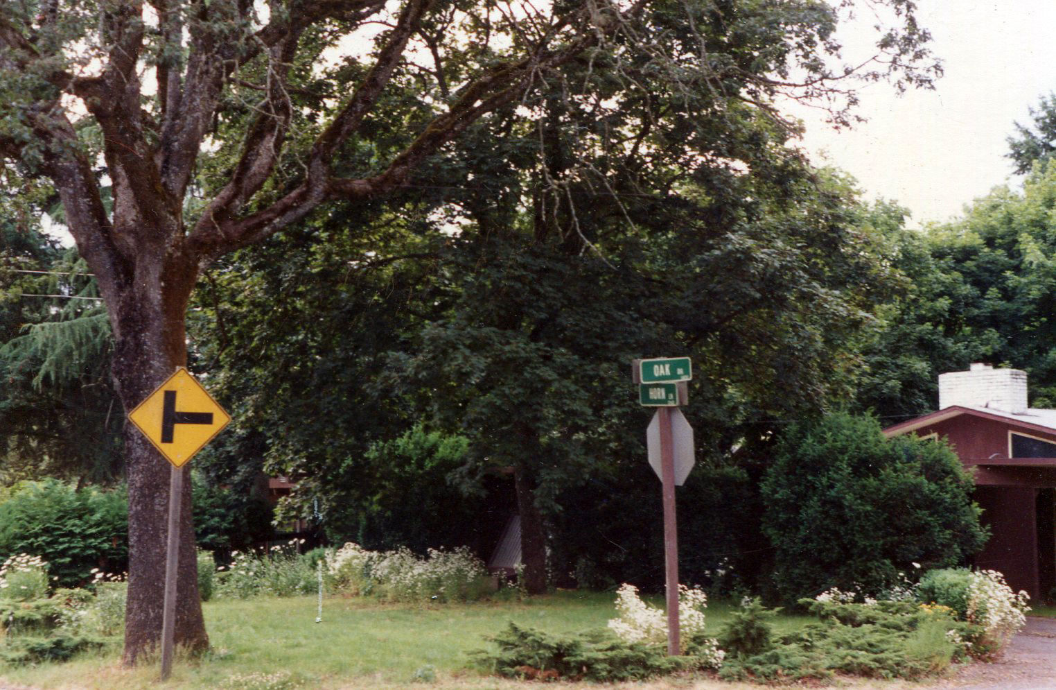 5d. Grounds at south end of the property, corner lot.